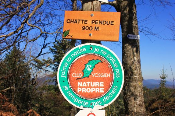 Chatte-Pendue 0688 (FILEminimizer)