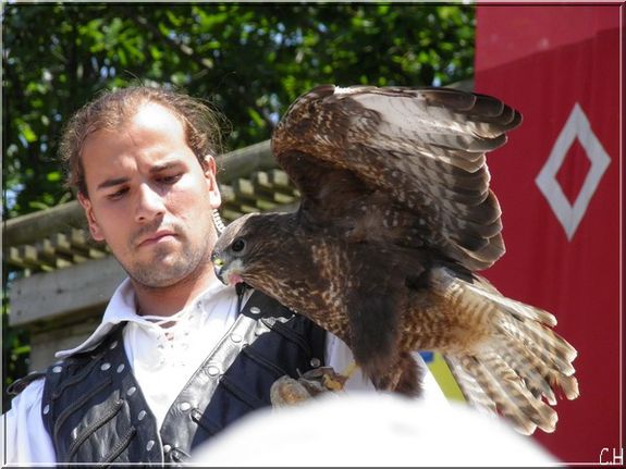 puy du fou aigle A