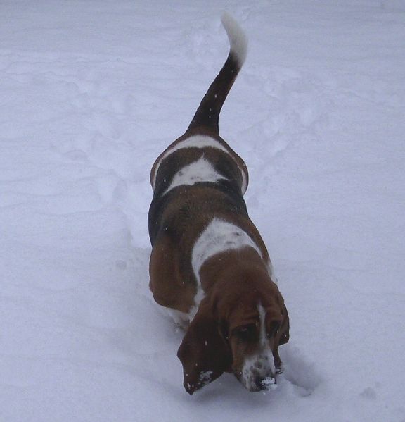 schnee 003