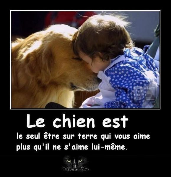a-chien.jpg