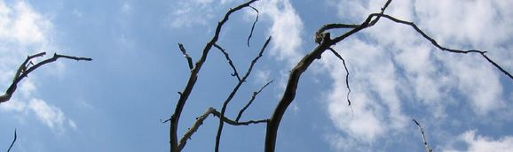 Nuages-1