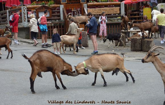 Village-des-Lindarets-2---Haute-Savoie.jpg