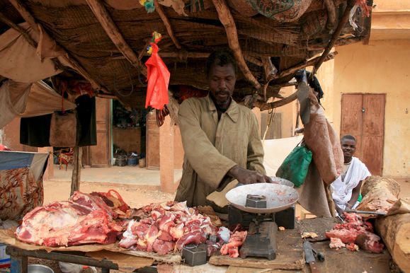 Boucher d'aleg sahara de mauritanie