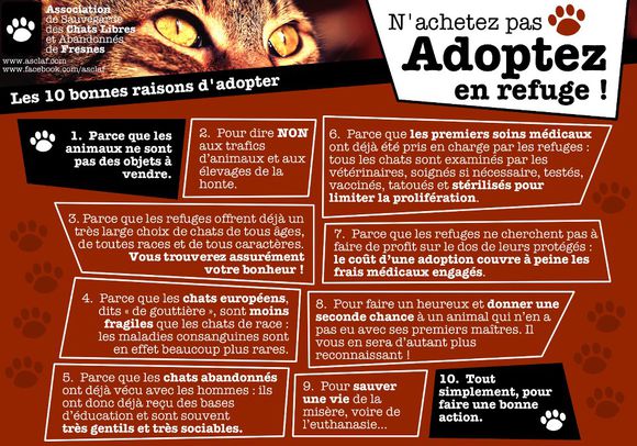 ASLAF adoption 4