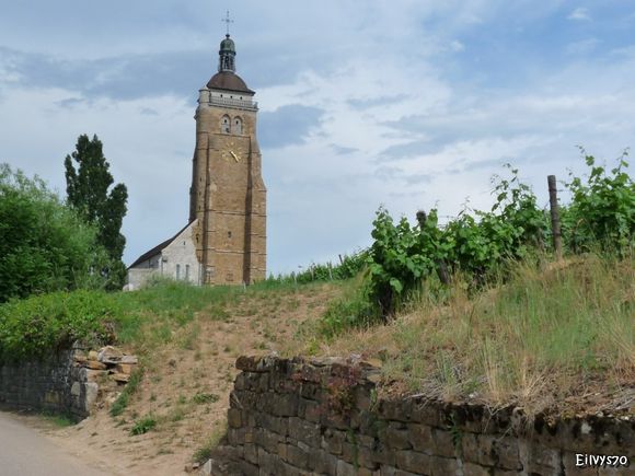 ARBOIS JUIN 2011 J