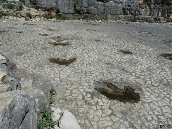 LOULLE CARRIERE DES GEANTS 7 piste de theropode