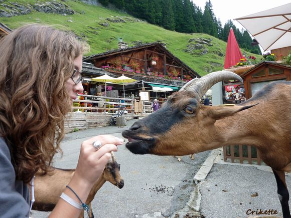 Cecile-au-village-des-Lindarets--Haute-Savoie.jpg