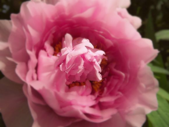 FMS-PHOTO-A-DAY-22-BLURRY-copie-3.jpg