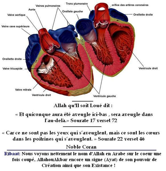 site de rencontre allah