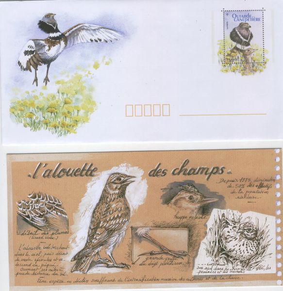 enveloppe-PAP--oiseaux-proteges-alouette-et-outarde.jpg