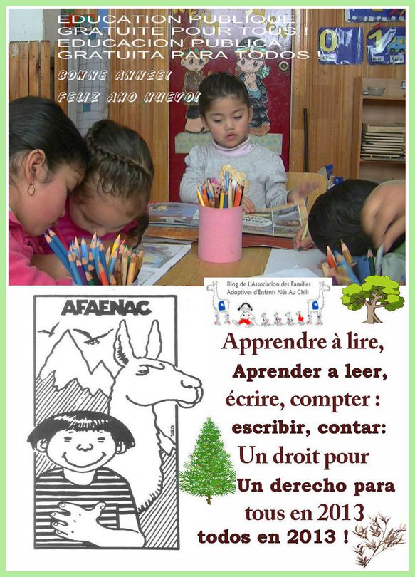 Voeux-2013.jpg
