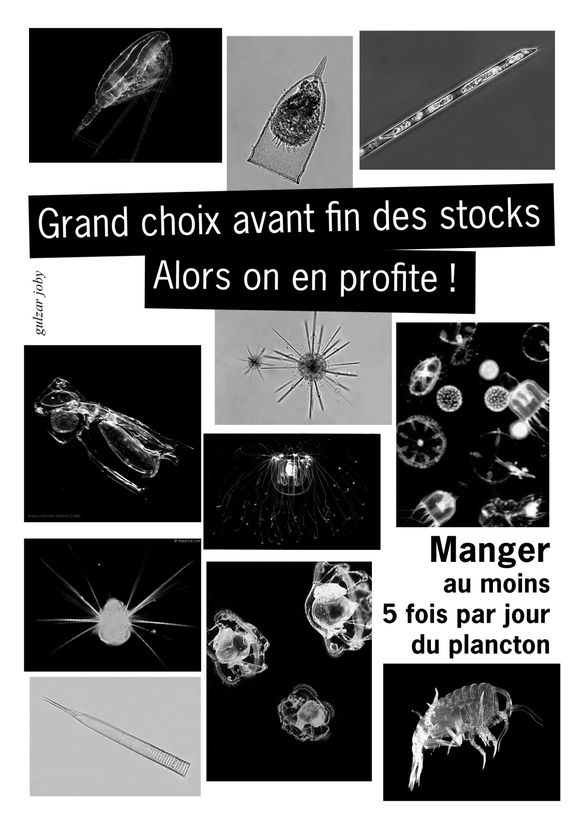 fanzine page 2 plancton IMPR