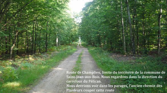 37-Chemin-des-Plaideurs.jpg