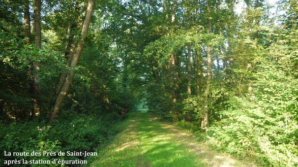14-Route-des-Pres-de-Saint-Jean.jpg