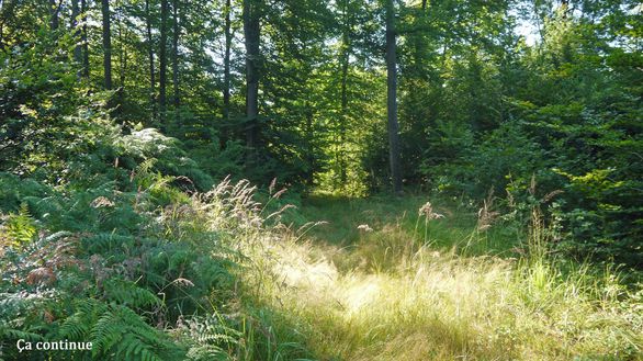 30-Chemin-du-Pont-Cardon.jpg