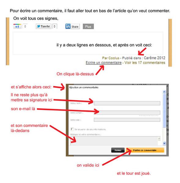 écrire un commentaire