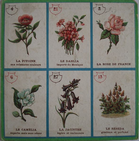 loto-fleurs--2-.JPG