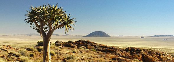 Desert-express-Namibie-vue-panoramique-BlogOuvert.jpg