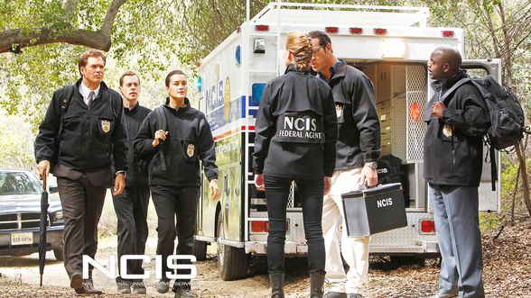 NCIS-Swan-son-s8-e23.jpg