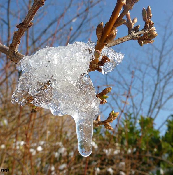 decembre-2010-222.jpg