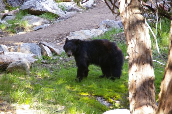 site de rencontre barbu