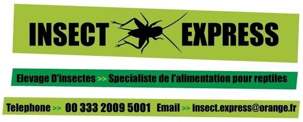 Les bons plans by Bacchus - Dernière édition le 19-01-10 Insect-express2