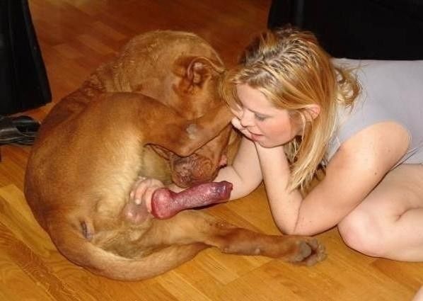 le sexe chien le sexe de la scène le sexe chien le sexe de la scène