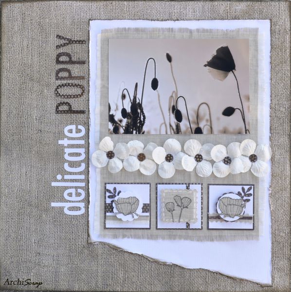 Delicate Poppy