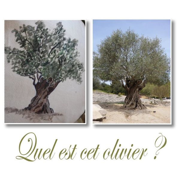 l'olivier3