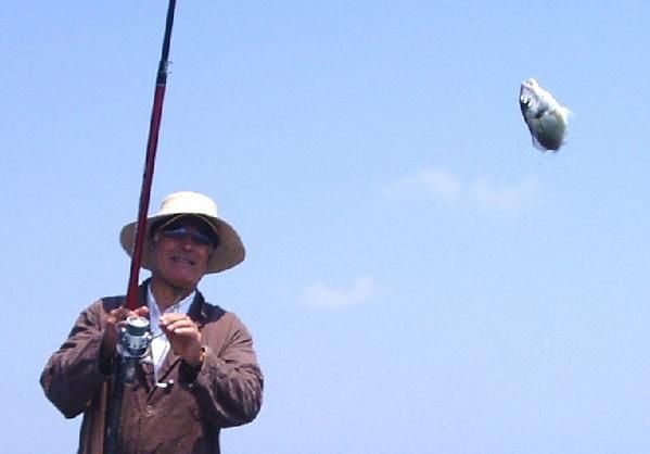 La pêche sur les fanions le brochet comme attraper