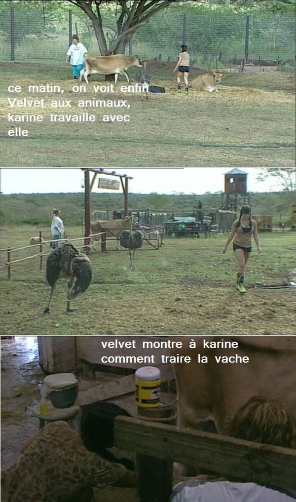 mardi-0203-matin1.jpg