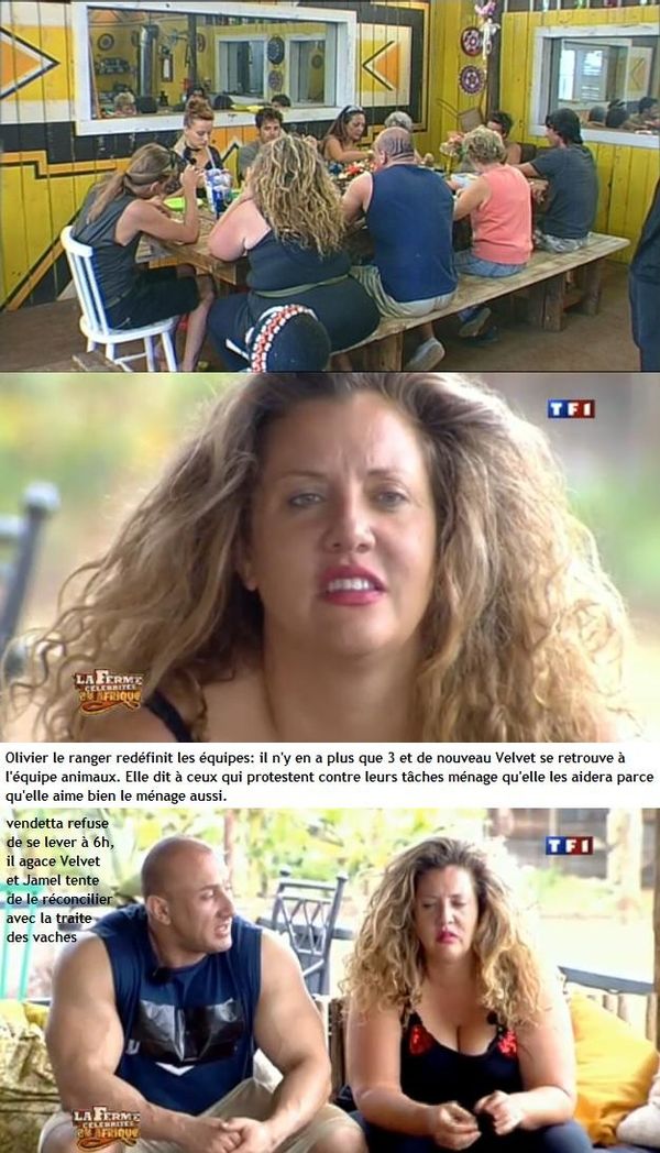 dimanche-1403-3.jpg