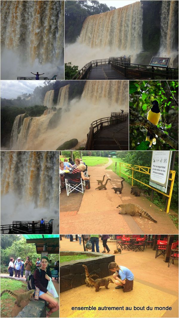 19 Puerto Iguazu et les chutes8