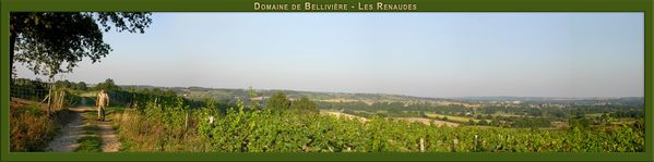 mp-renaudes-300