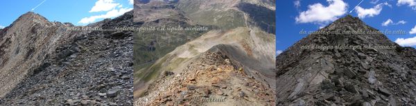 2012-08-11-Monte Vago senza sentiero
