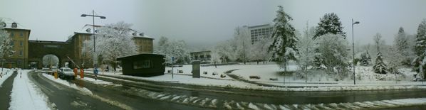 DSC00286.JPG