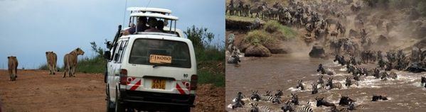 Serengeti.jpg