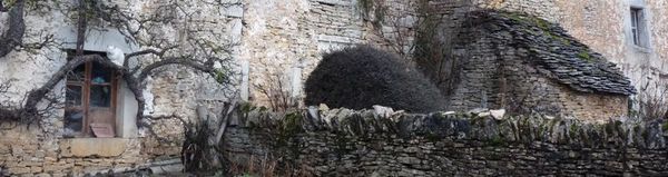 le chat-copie-1