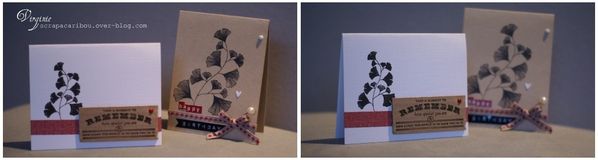 cartes ginko-copie-1