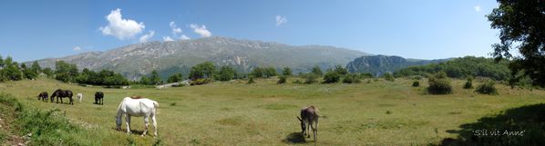 Panorama ânes.Blog