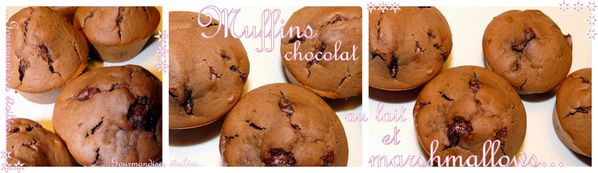 muffins-chocolat-au-lait.jpg