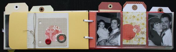 Mini-albums 4812