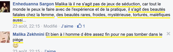 BEAUTE.3.COMMENTAIRE.png
