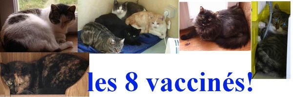 les 8 vaccinés