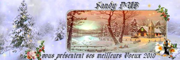 sandy1(1)