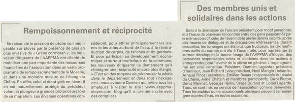 Article-5.jpg