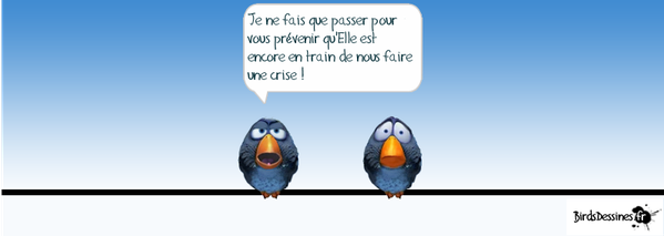 oiseau14