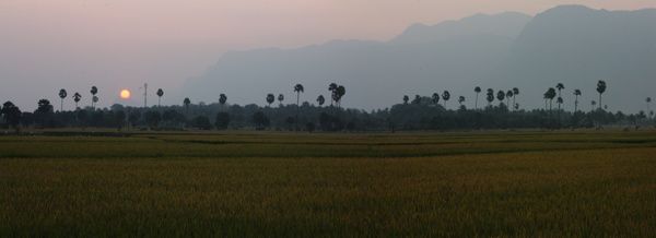 Panorama1_1.jpg