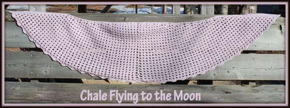 montagechale flying to the moon 2