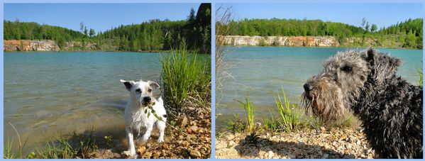 filou-et-merlot-lac-vert.jpg